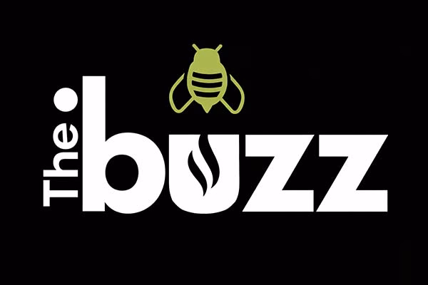 .buzz Registry Logo